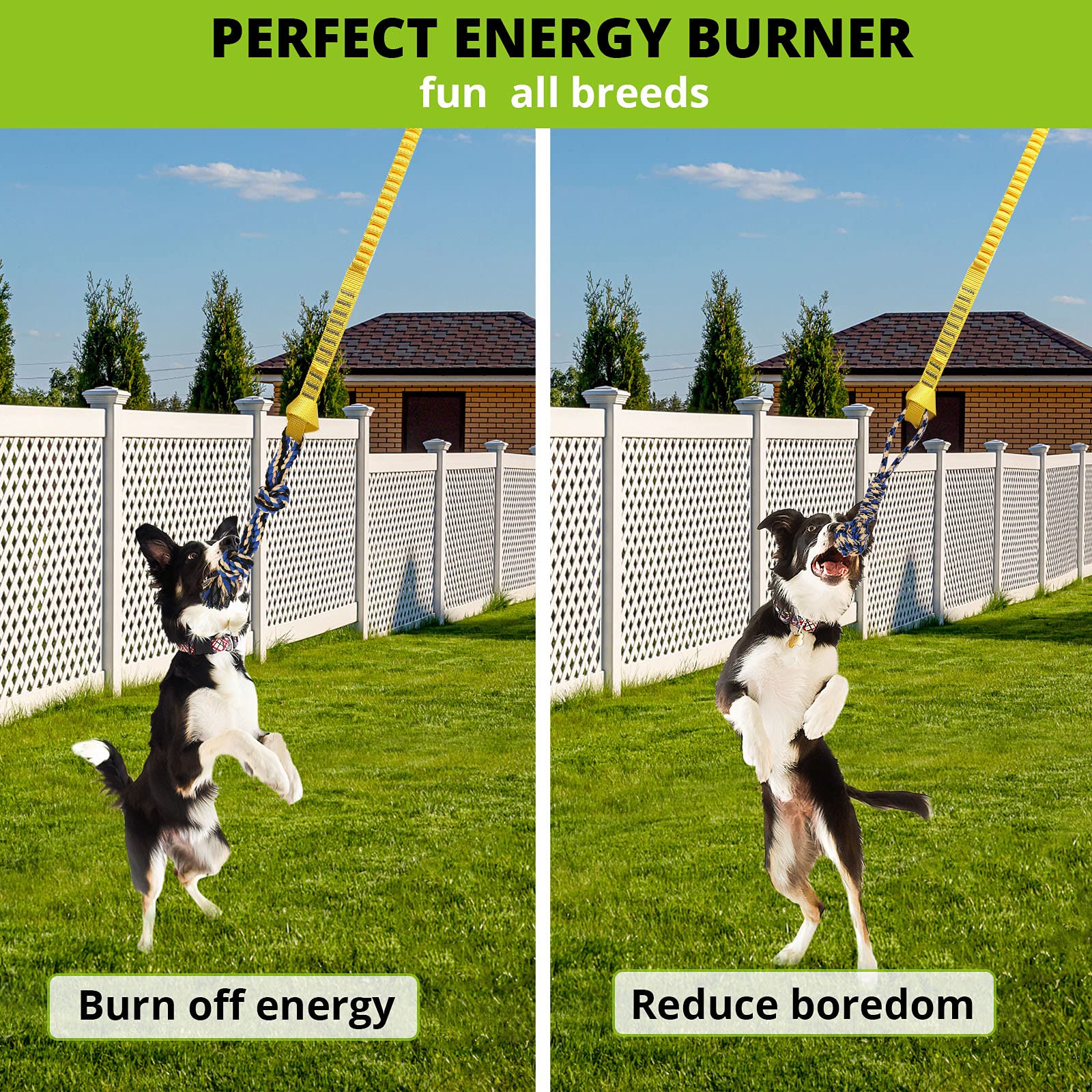 HOKINETY dog hanging bungee tug toy detachable toys for solo or interactive play