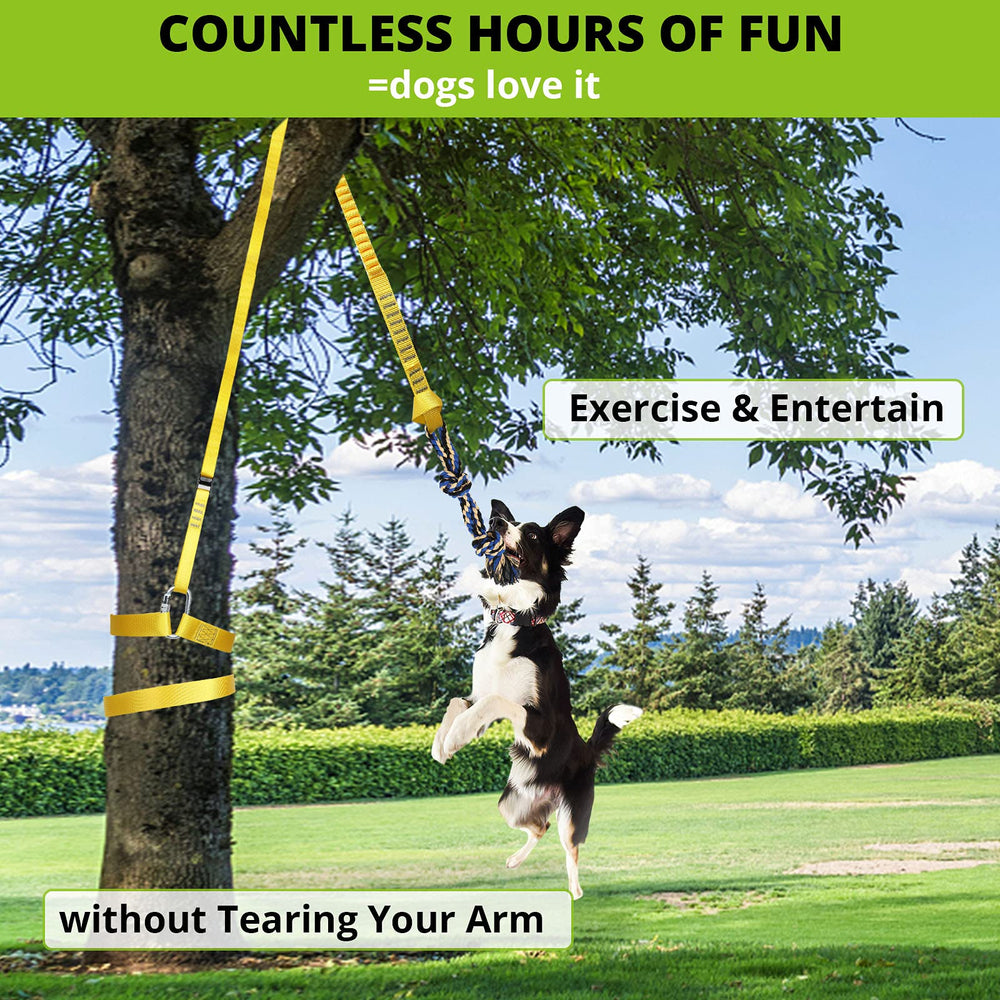 HOKINETY dog hanging bungee tug toy in action during outdoor play