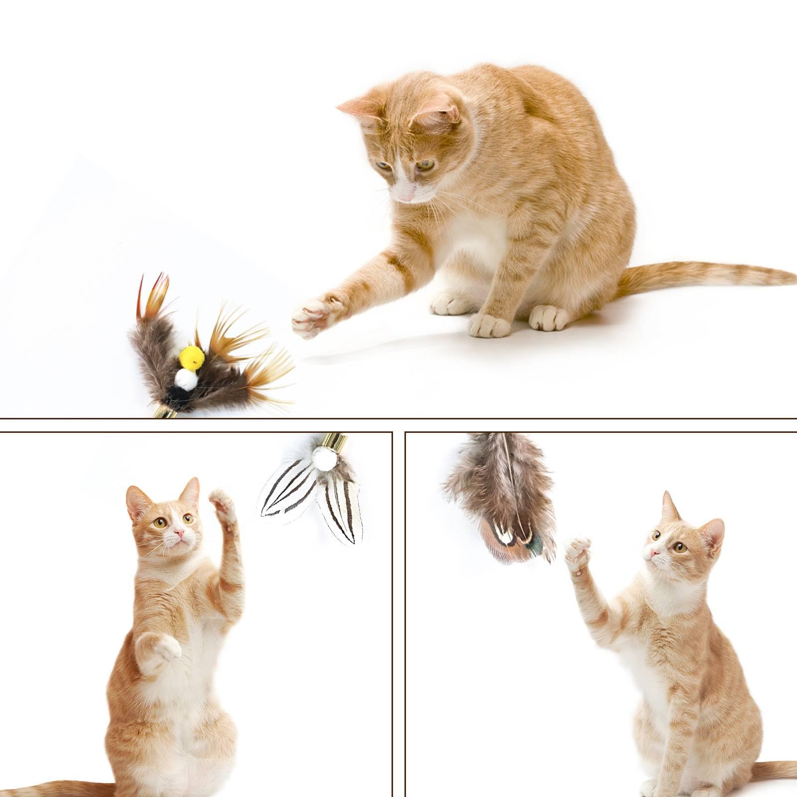 Hokoad durable feather refills withstand lively chasing for long lasting play.