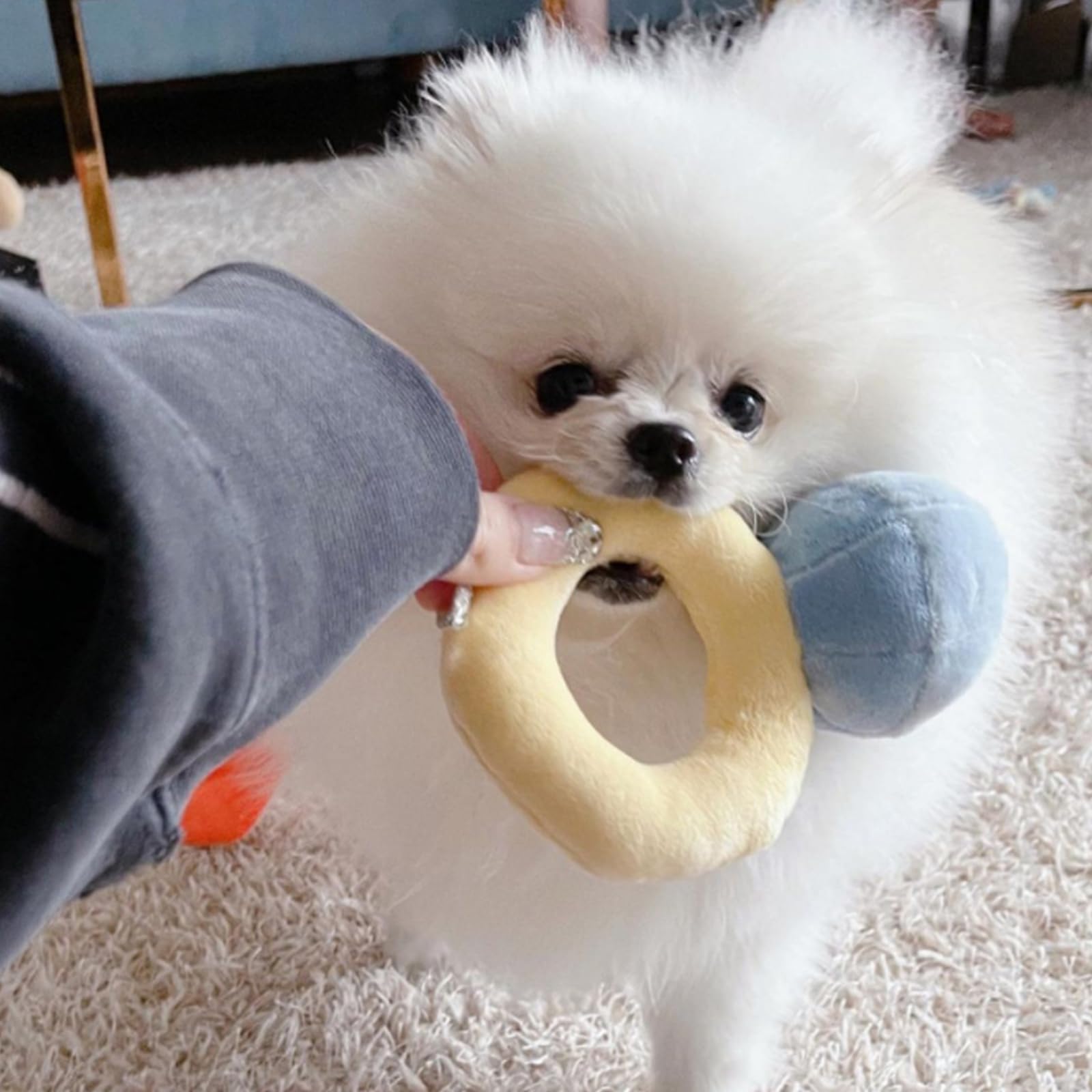 hokojix ring toy dental-cleaning action promotes daily mouth care during happy play.