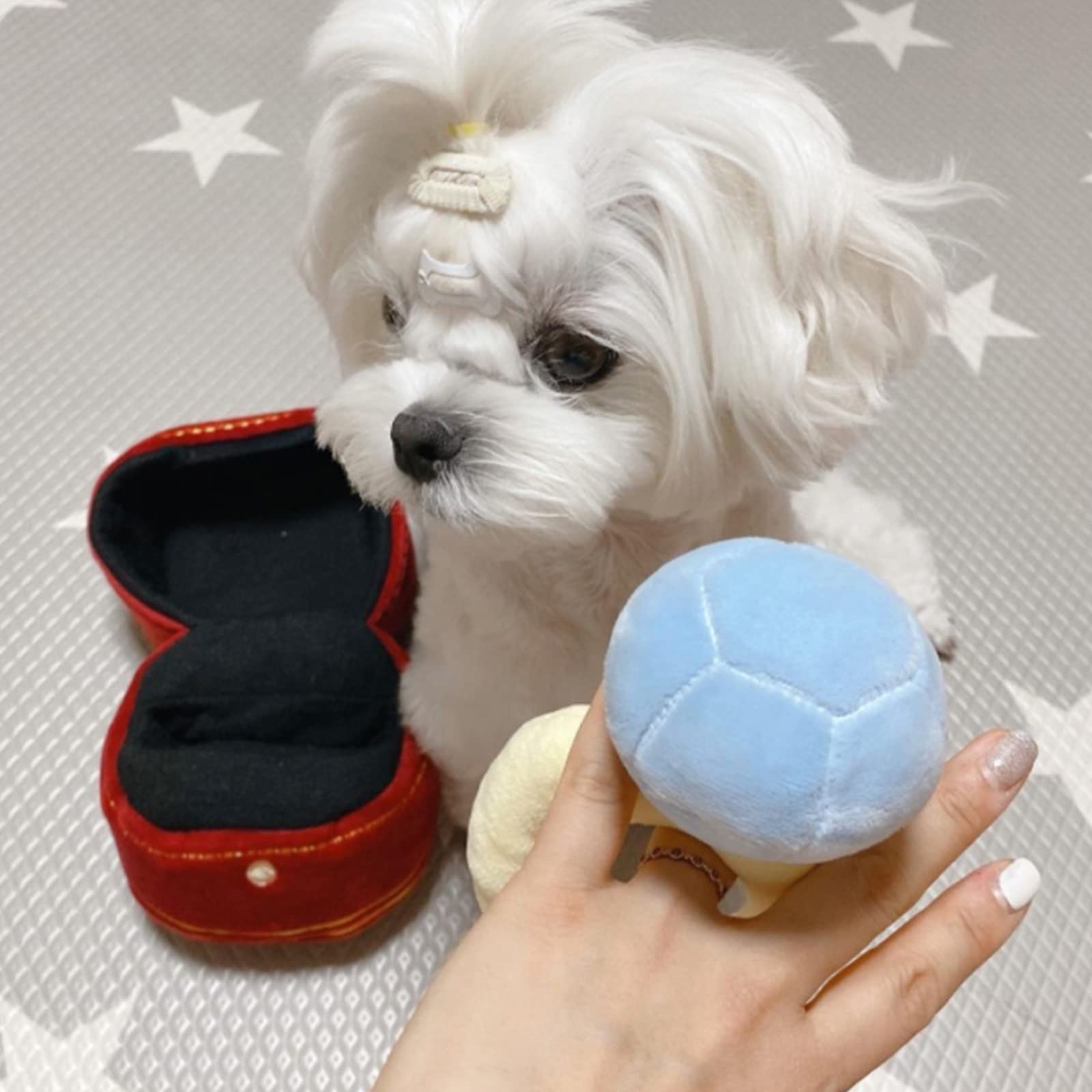 hokojix ring toy for small dogs demonstrates versatile size-friendly design.