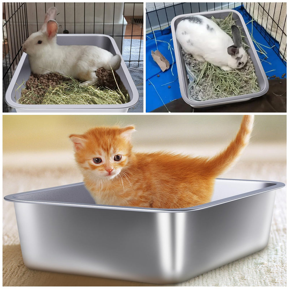 Holintan litter box easy-cleaning-dry-fast demonstrates effortless maintenance for busy households.