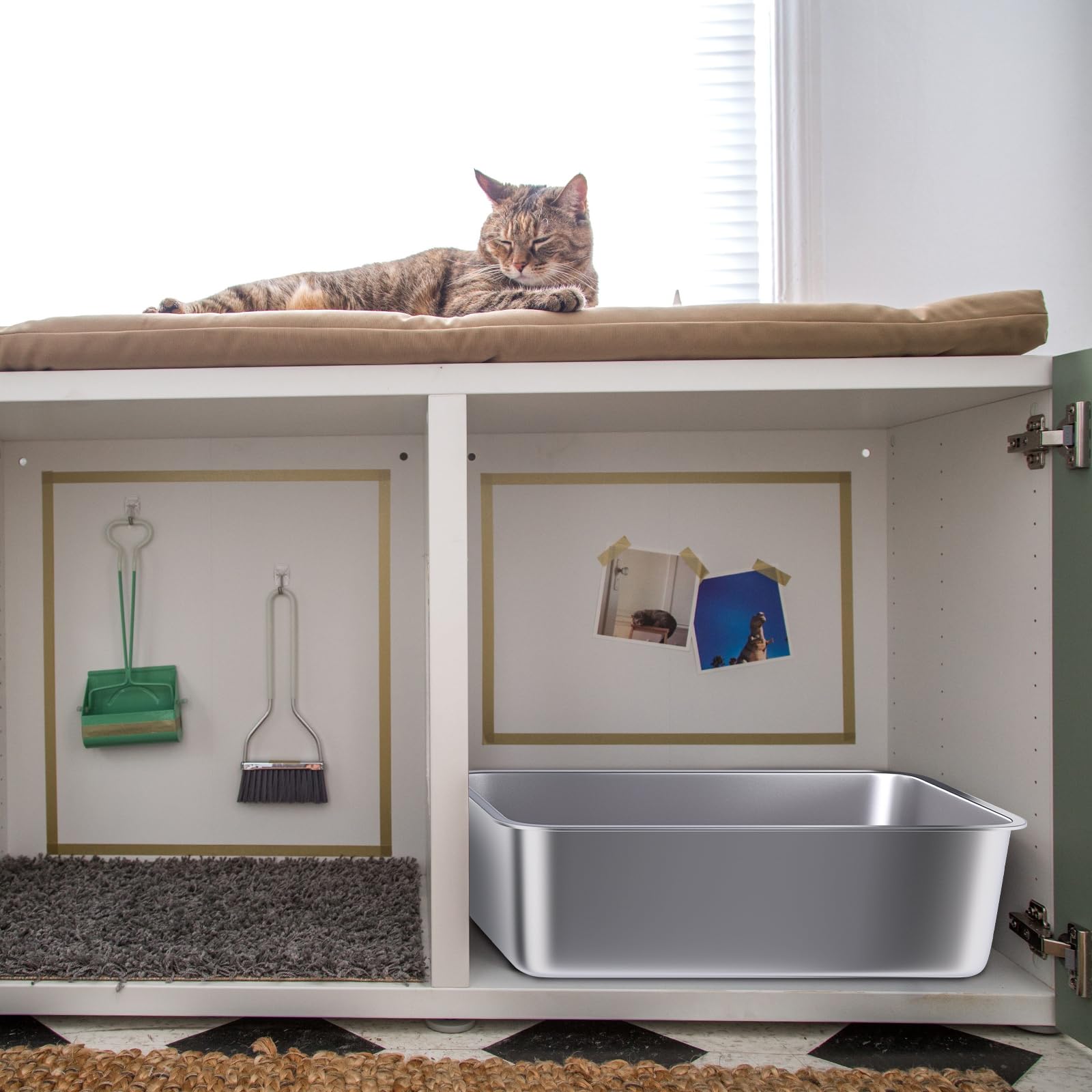 Holintan safe-design image highlights rounded corners for pet safety.
