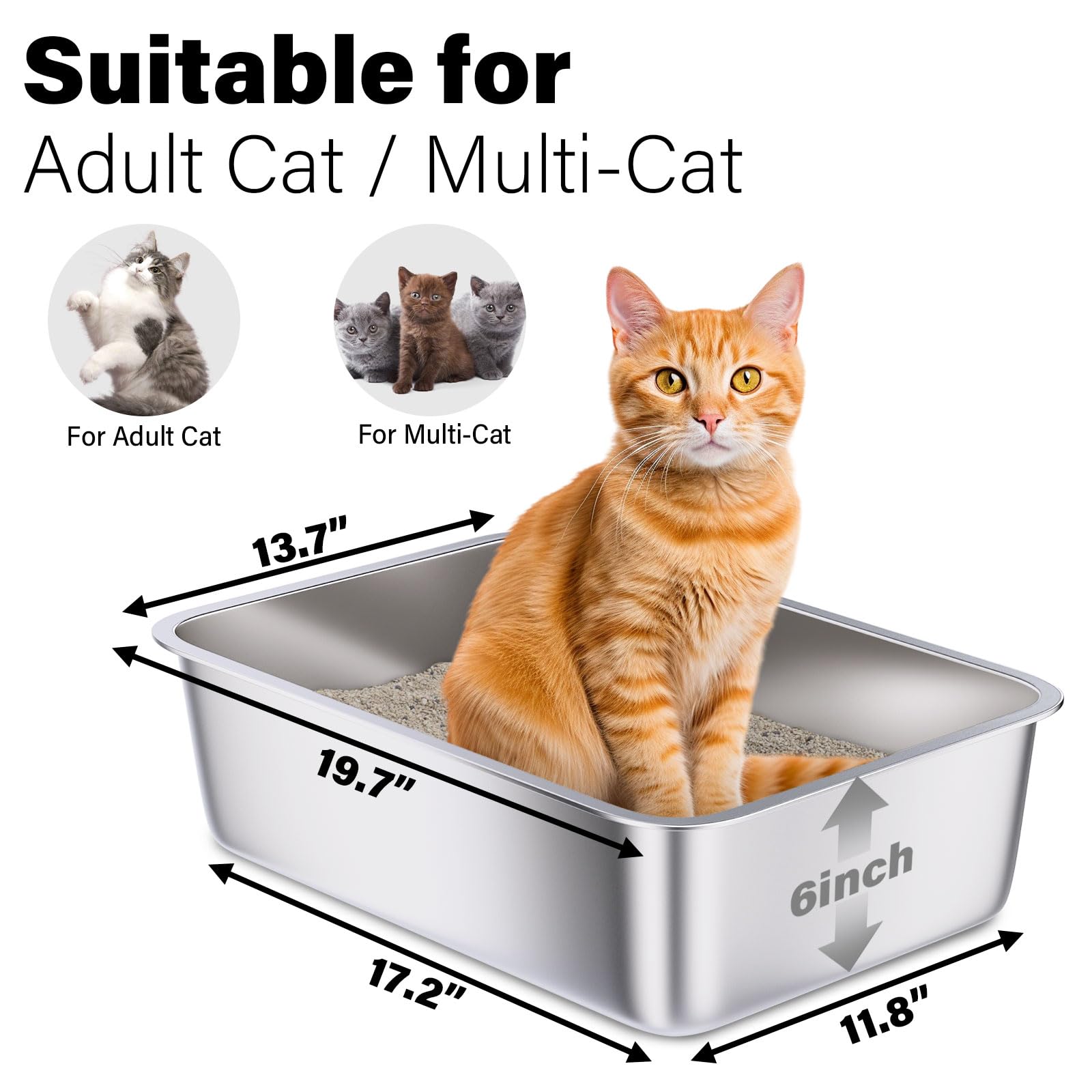 Holintan stainless-steel litter box close-up highlights non-stick surface for quick cleaning.