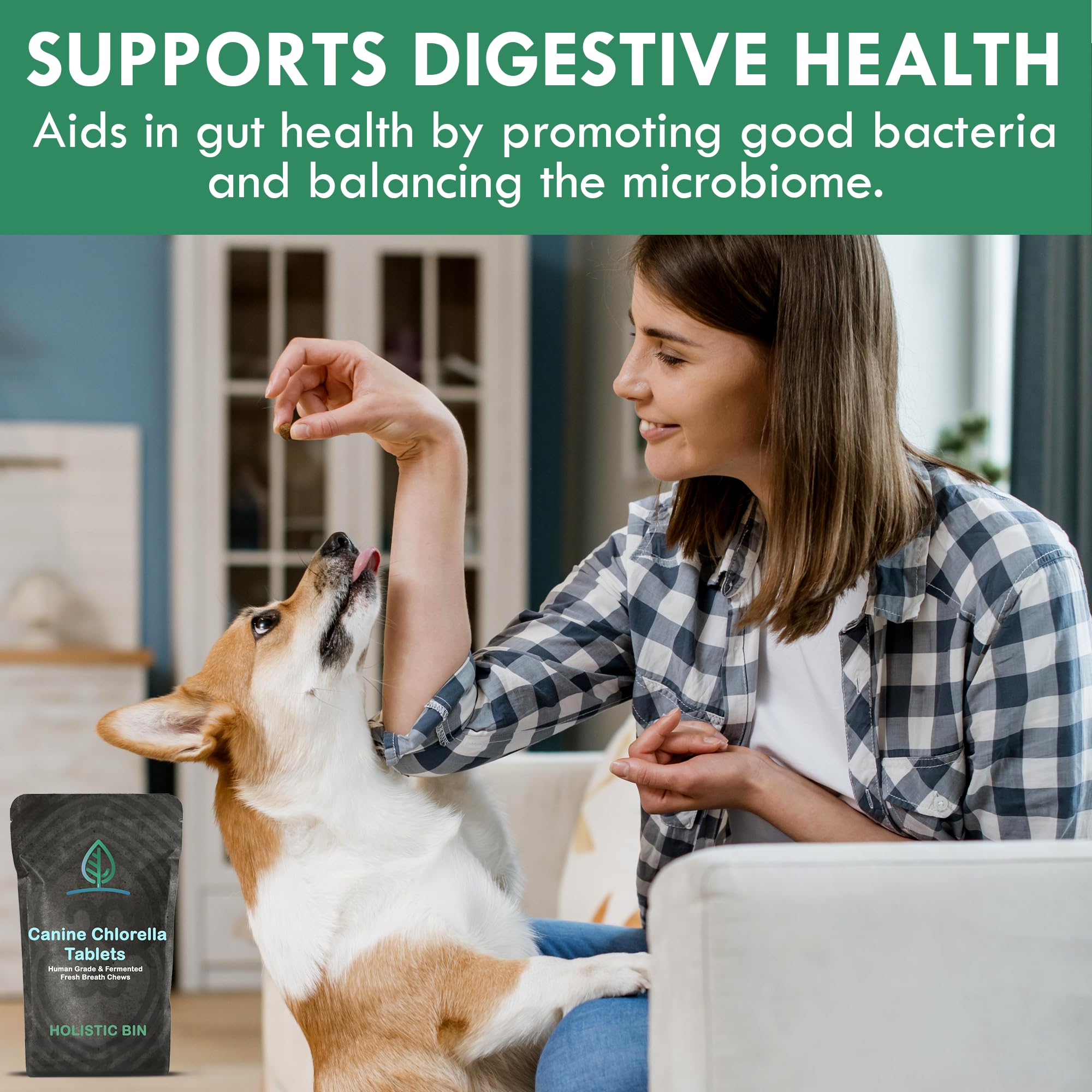 Holistic Bin canine chlorella tablets dog chew demonstrates breath freshening aid during routines.