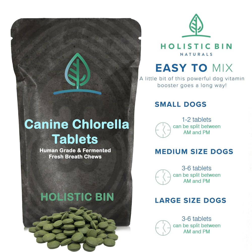 Holistic Bin canine chlorella tablets fermented-chlorella scene emphasizes organic greens support digestion and gut health.