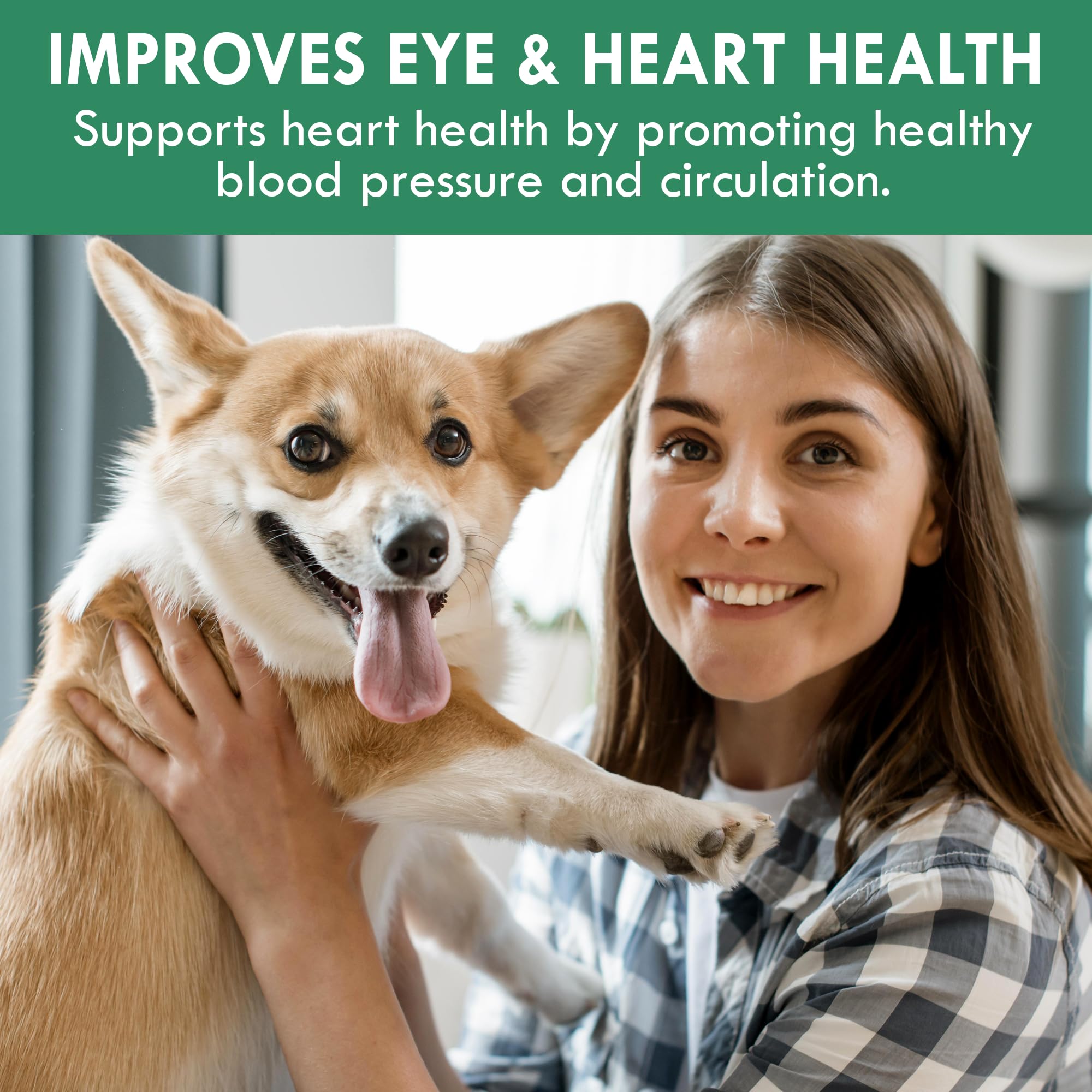 Holistic Bin canine chlorella tablets tablet closeup highlights fermented chlorella for chlorophyll-rich nutrition.