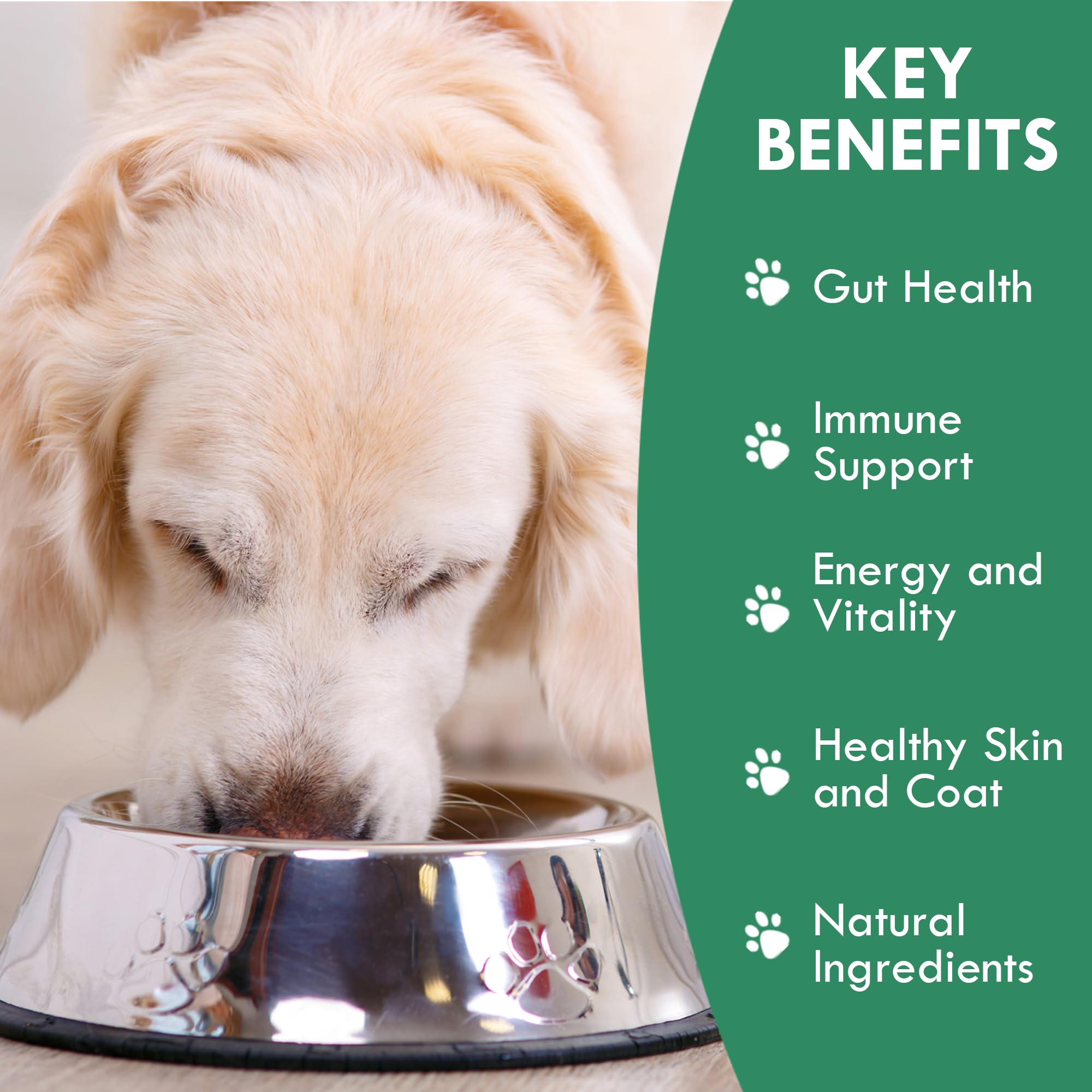 Holistic Bin digestive-enzymes-canine-powder aids feeding-time digestion and nutrient absorption.