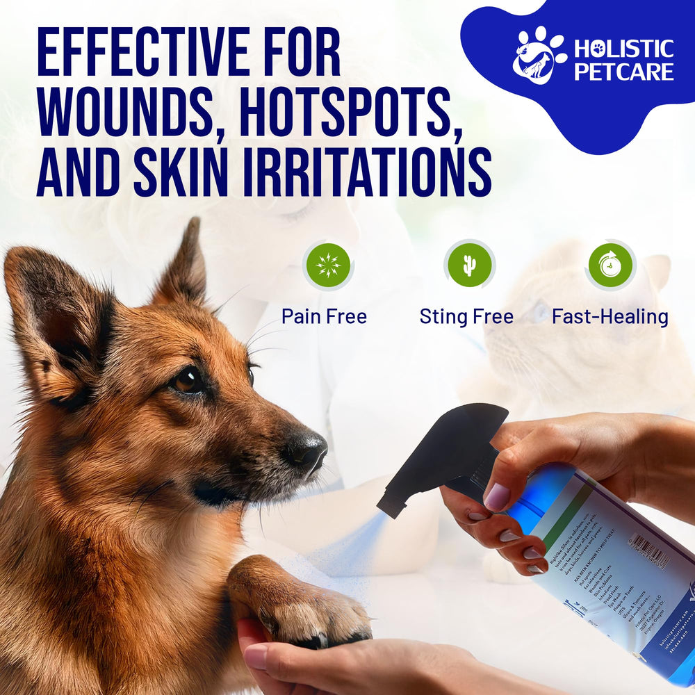 HOLISTIC PET CARE Colloidal Silver Spray 32oz blue bottle highlights multi-pet households and longevity.
