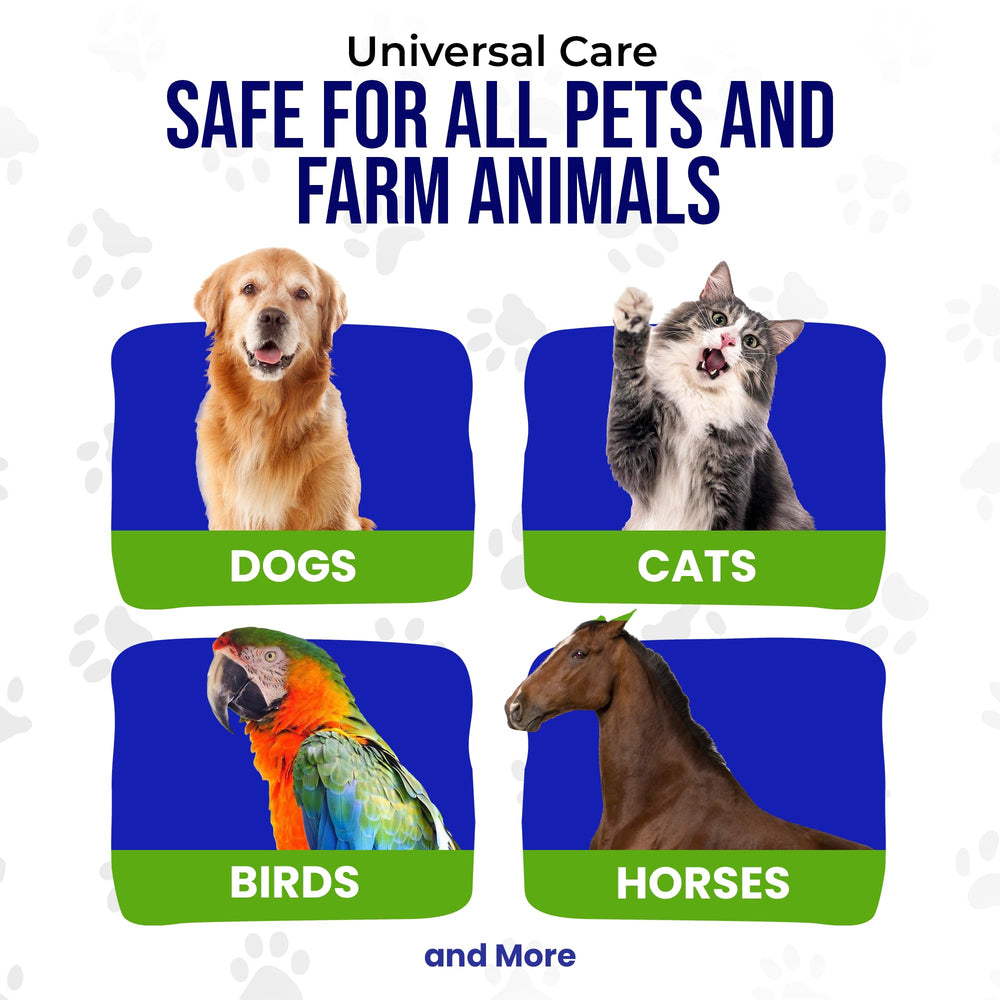 HOLISTIC PET CARE Colloidal Silver Spray homecare set presentation for convenient household care.