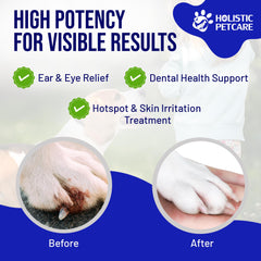 HOLISTIC PET CARE Colloidal Silver Spray mist-application demonstrates precise, mess-free pet skin care.