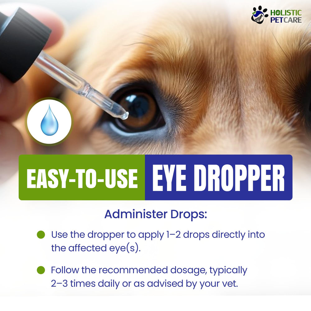 HOLISTIC PET CARE nightly castor oil option supports nighttime hydration