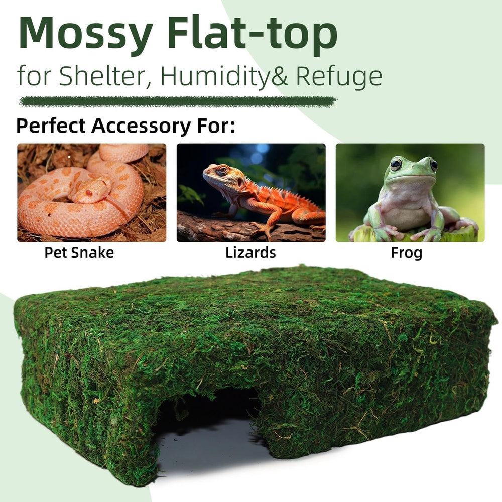 Hollima Mossy Cave Hide for reptiles provides a cozy den for resting.