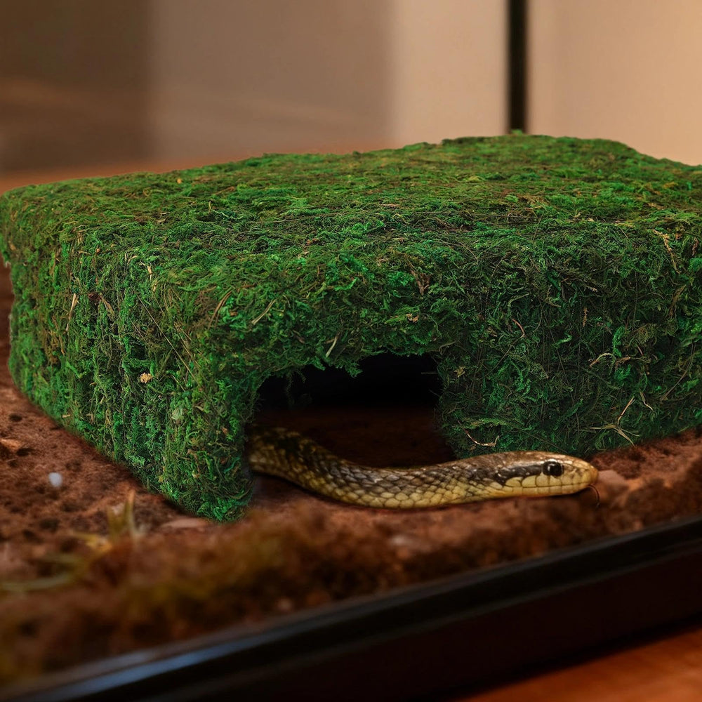 Hollima Mossy Cave Hide sturdy construction ensures durable, tip-resistant shelter.