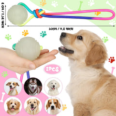 Hollowfly dog training ball on rope glows in dark for easy tracking