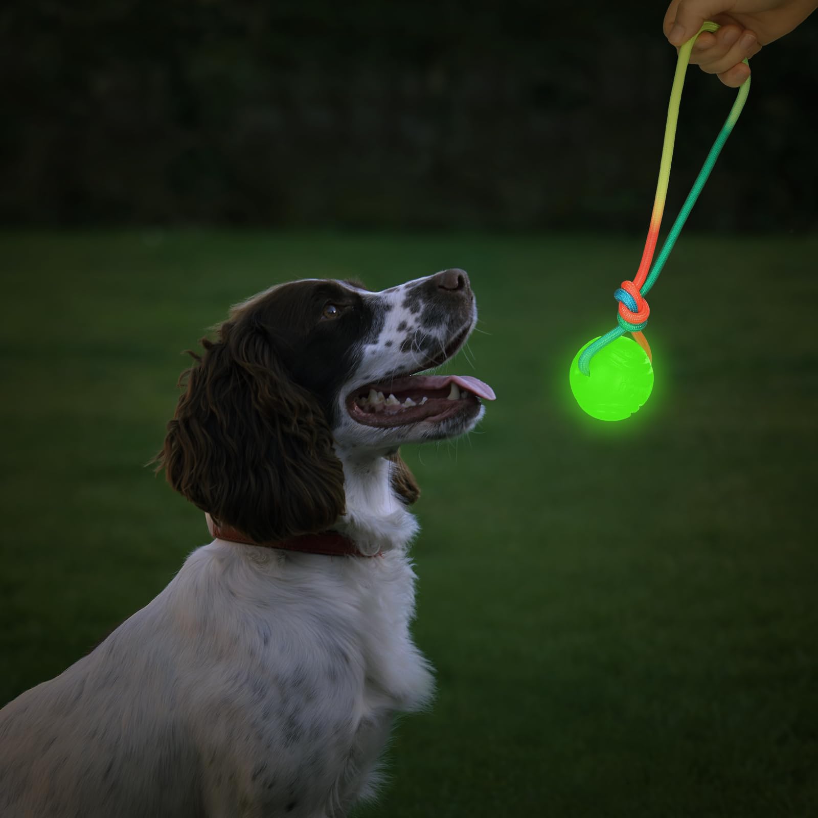 Hollowfly rope ball fetch toy for indoor and outdoor play
