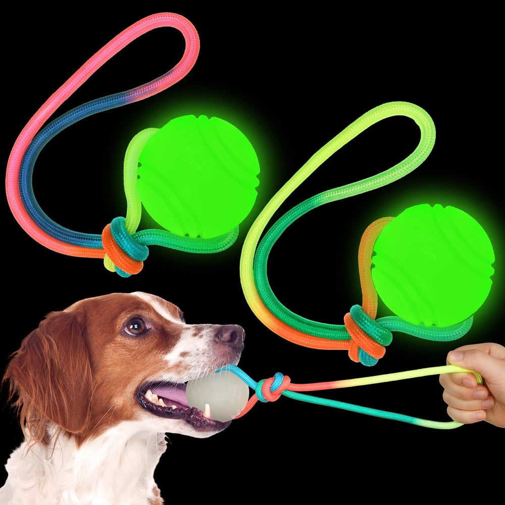 Hollowfly glow ball on rope dog toy for night fetch and visibility