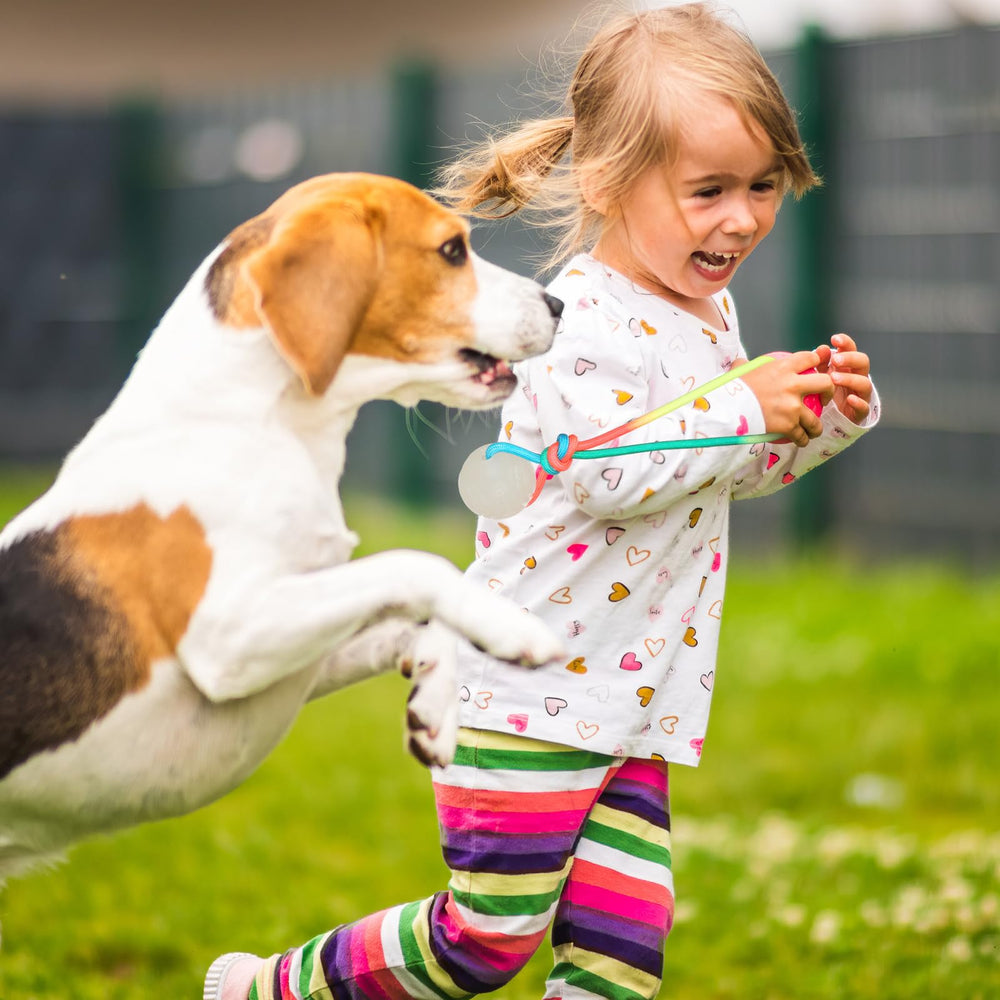 Hollowfly night-time glow toy enhances fetch and tug sessions