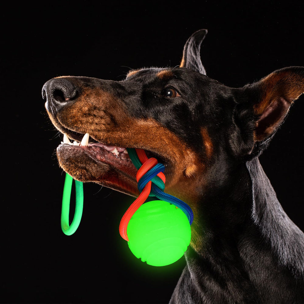 Hollowfly two-pack dog ball rope toy for multi-dog play