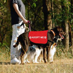 HOLLP Rescue Dog Jacket Adopt ME close-up texture highlights lightweight durability.