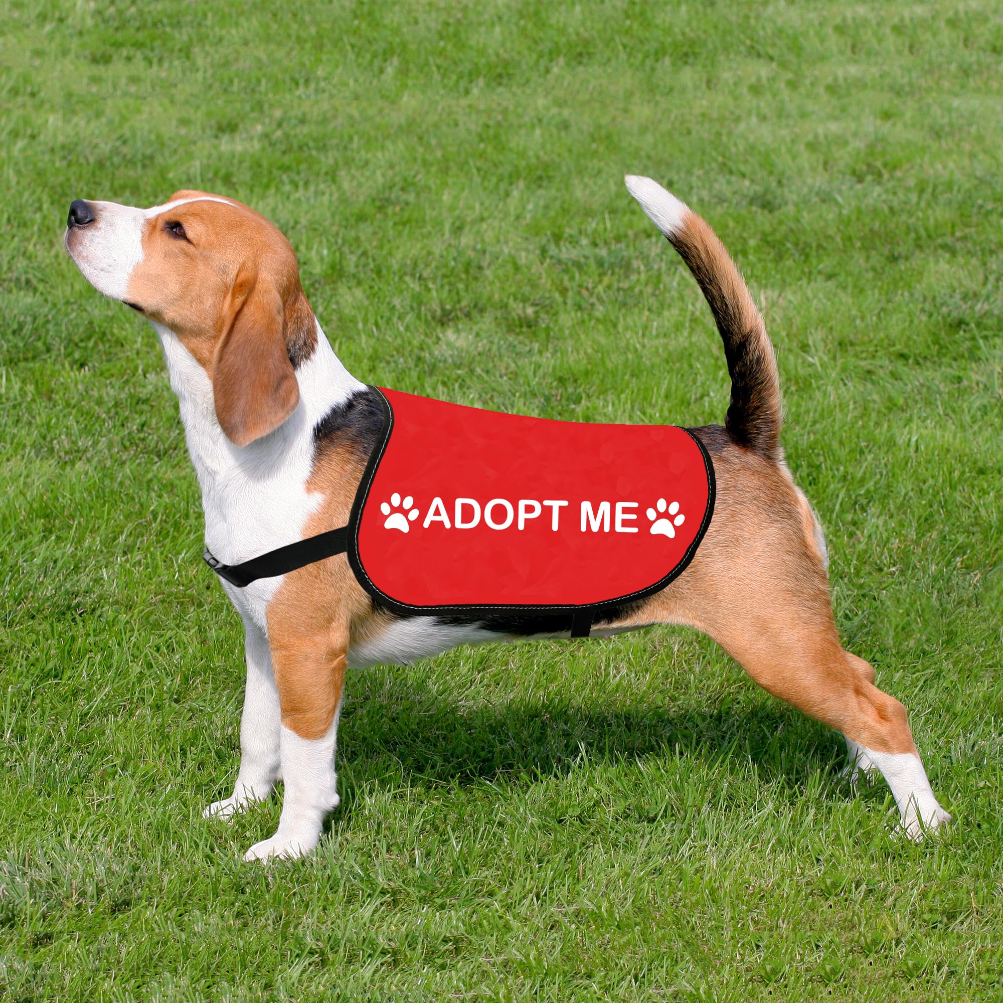 HOLLP Rescue Dog Jacket Adopt ME side view adjustable straps keeps dog secure.
