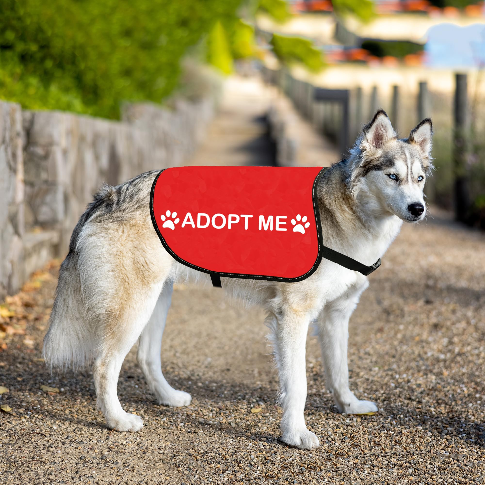 HOLLP Rescue Dog Jacket Adopt ME slogan print inspires adoption awareness during outings.