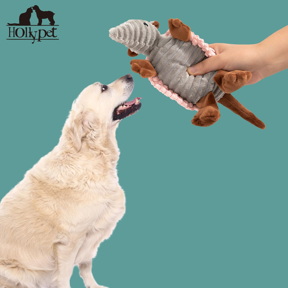 Hollypet Armadillo toy dog playing fetch demonstrates active bonding