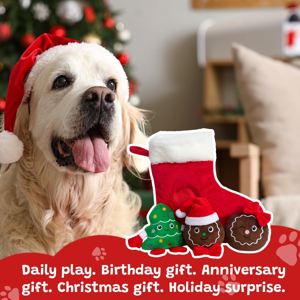 Hollypet Christmas Stockings Packaging conveys festive, ready-to-gift presentation.