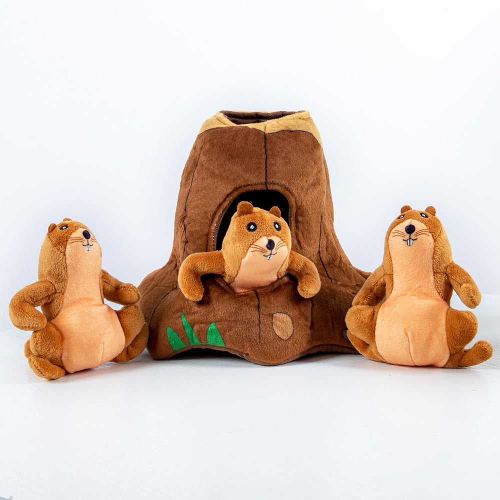 Hollypet interactive puzzle image showing multiple dogs enjoying shared play