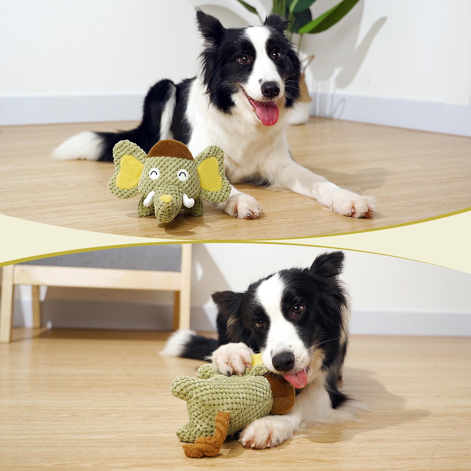 Hollypet puppy playing with squeaky elephant toy during training