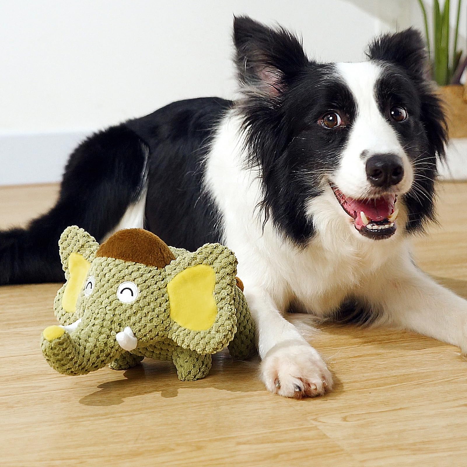 Hollypet squeaky plush toy with no sharp edges and safety design