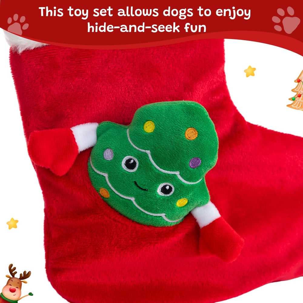 Hollypet Training Session image captures focused play and owner bonding.