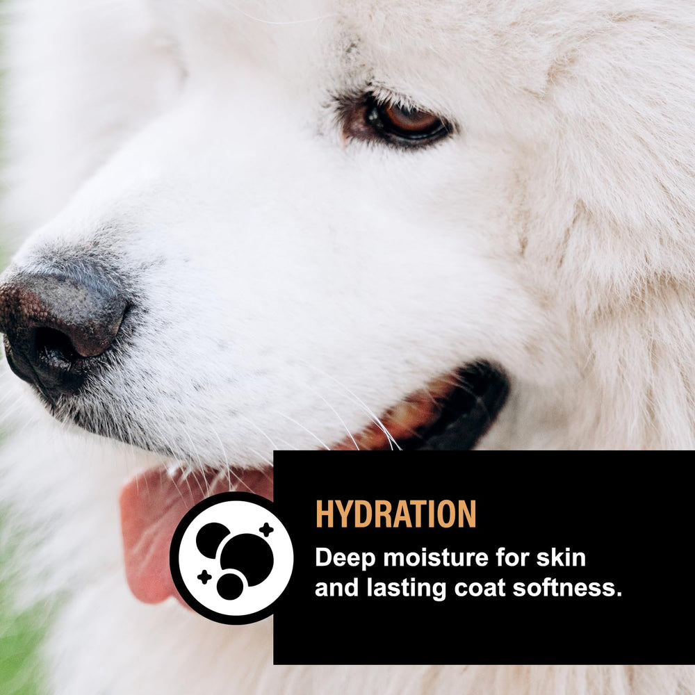 Holm & Herd lotion applied on paws for comfort