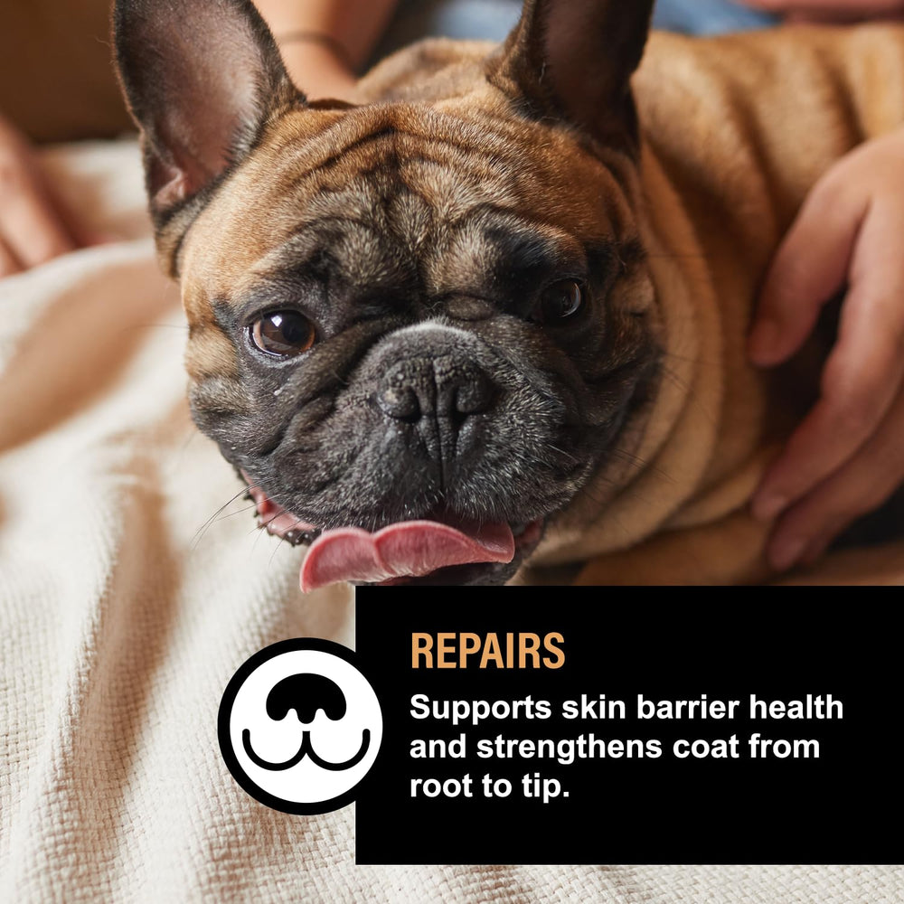 Holm & Herd fragrance-free dog lotion—gentle on sensitive skin