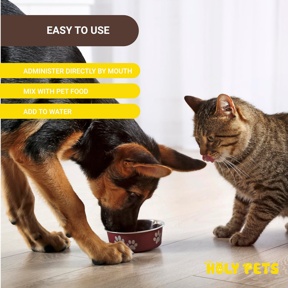 Holy Pets USA-made cough medicine label and packaging.