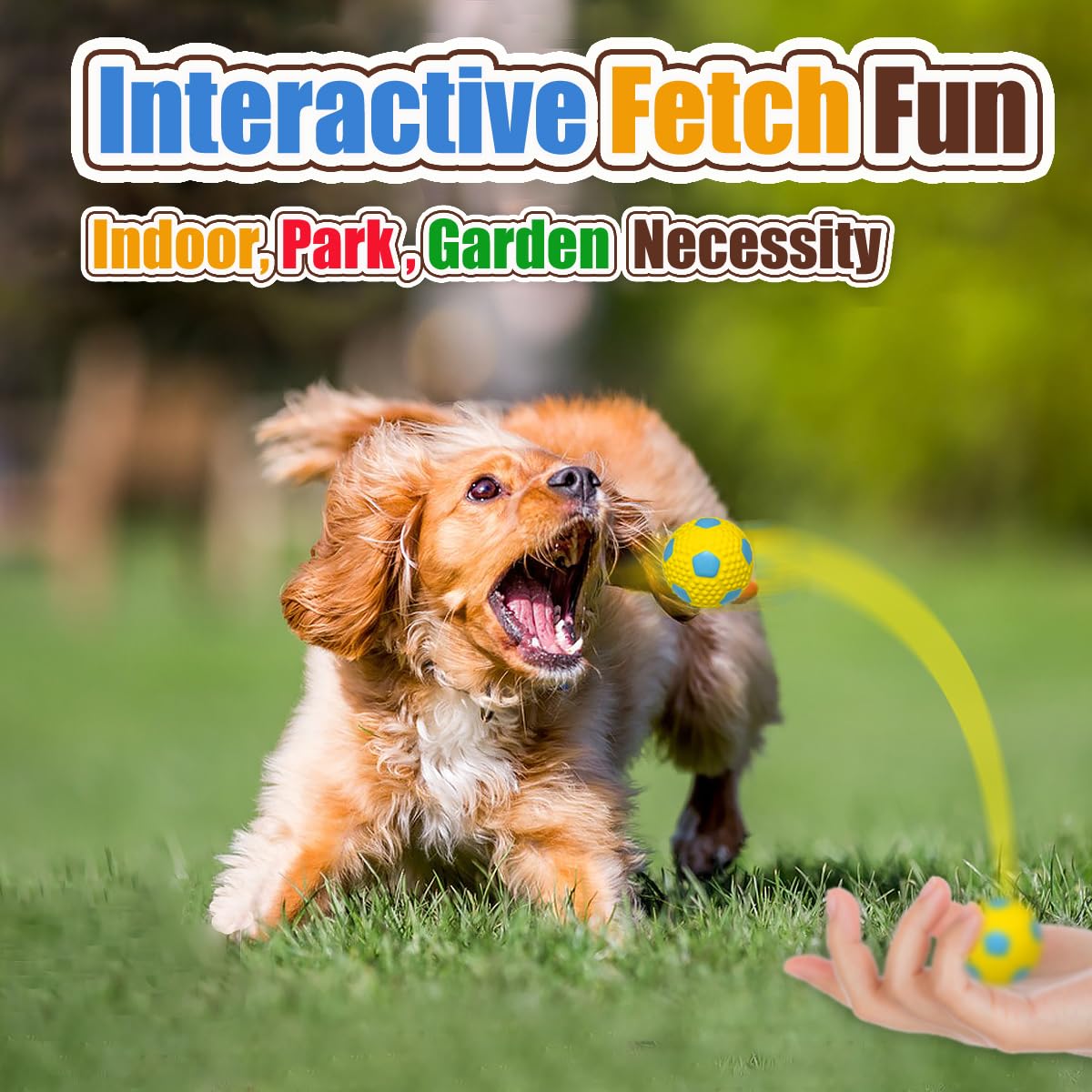 HOLYSTEED small-breed toy ball ideal for Chihuahuas and Yorkies fetch sessions.