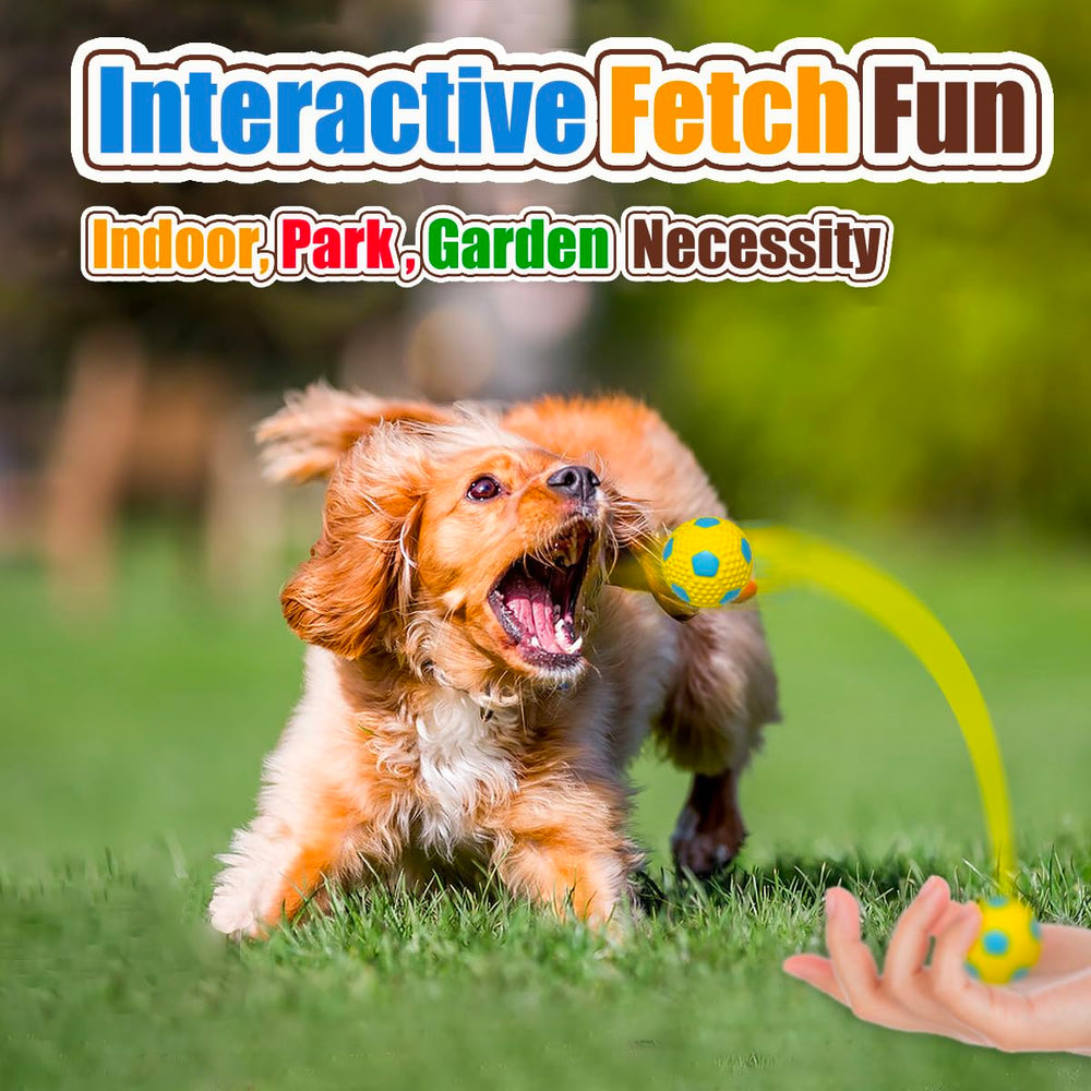 HOLYSTEED small-breed toy ball ideal for Chihuahuas and Yorkies fetch sessions.