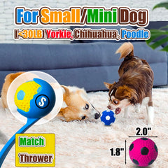 HOLYSTEED soft latex ball with squeaker enhances tactile fun for gentle chewers.