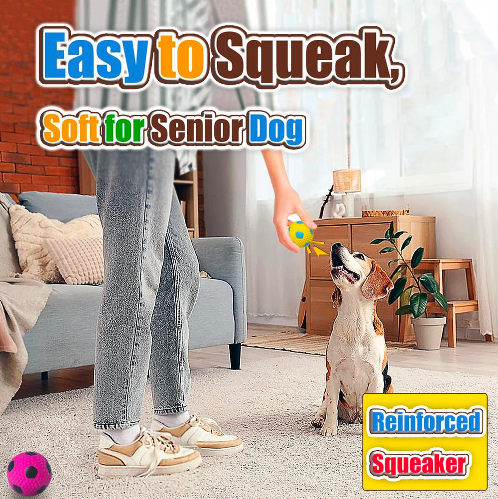 HOLYSTEED squeaky dog ball textured surface for dental massage