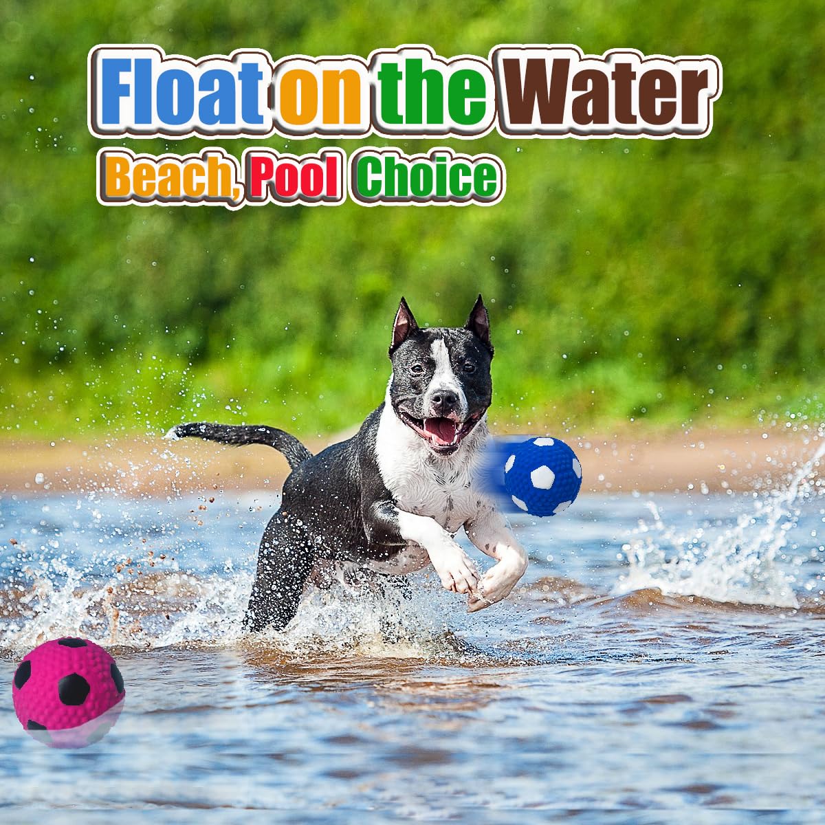 HOLYSTEED squeaky dog ball ideal for medium and large breeds
