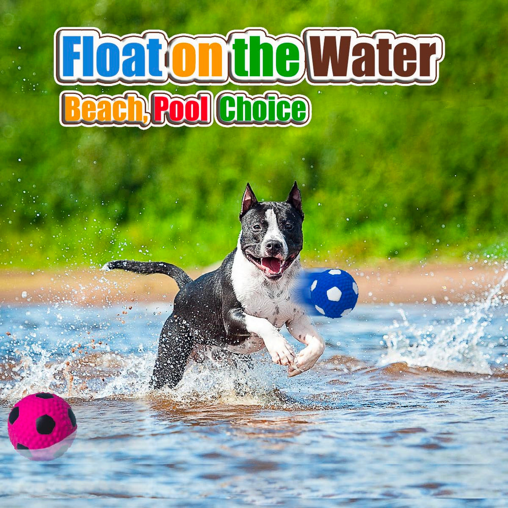 HOLYSTEED squeaky dog ball ideal for medium and large breeds