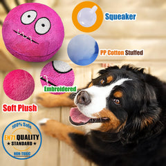 HOLYSTEED Squeaky Dog Ball indoor outdoor play image shows versatile fetch toy.