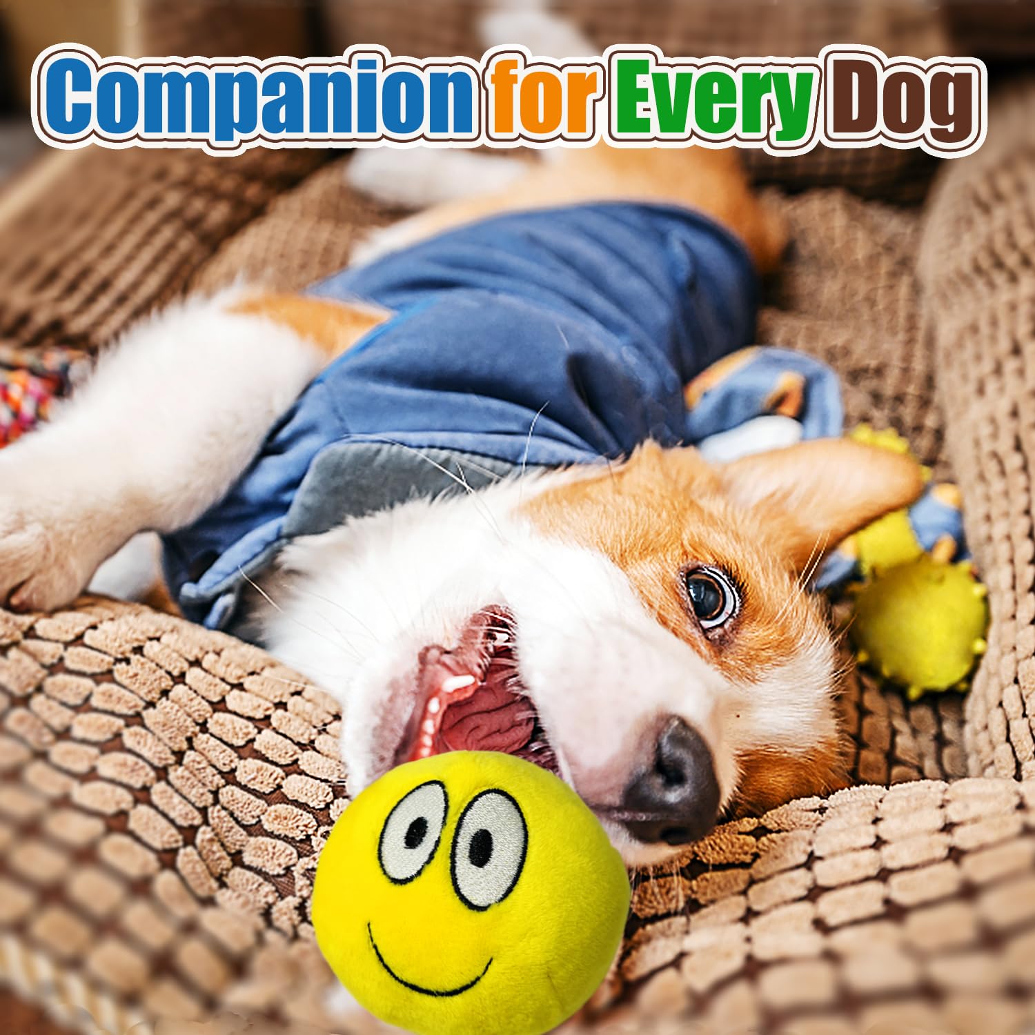 HOLYSTEED Squeaky Dog Ball machine-washable design for quick cleanups after play.