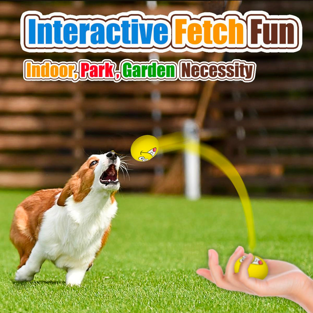 HOLYSTEED eco-friendly outdoor-decomposition supports outdoor use.