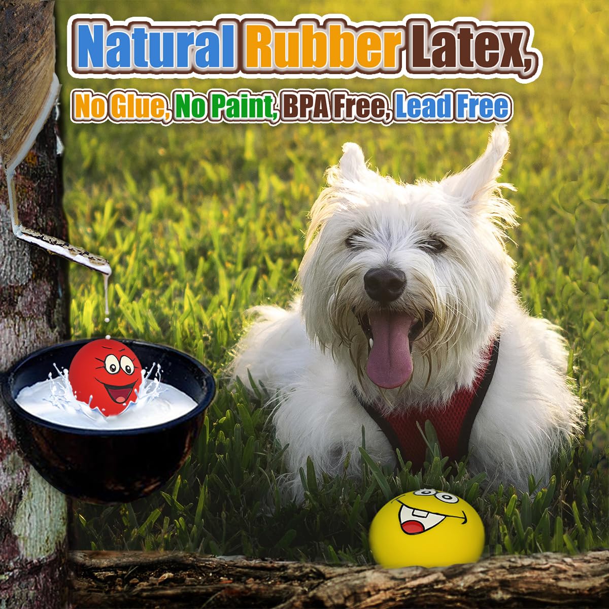 HOLYSTEED smile-face toy engages dogs with a cheerful squeak.