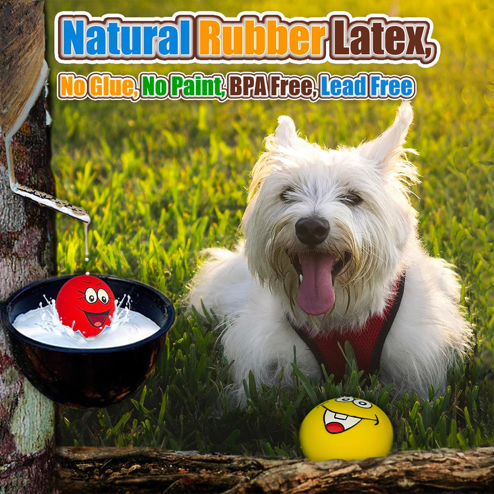 HOLYSTEED smile-face toy engages dogs with a cheerful squeak.