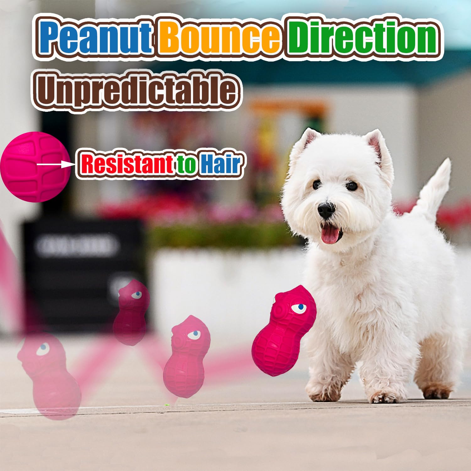 HOLYSTEED bounce-peanut-toy-action shot shows unpredictable bounce for curious dogs.