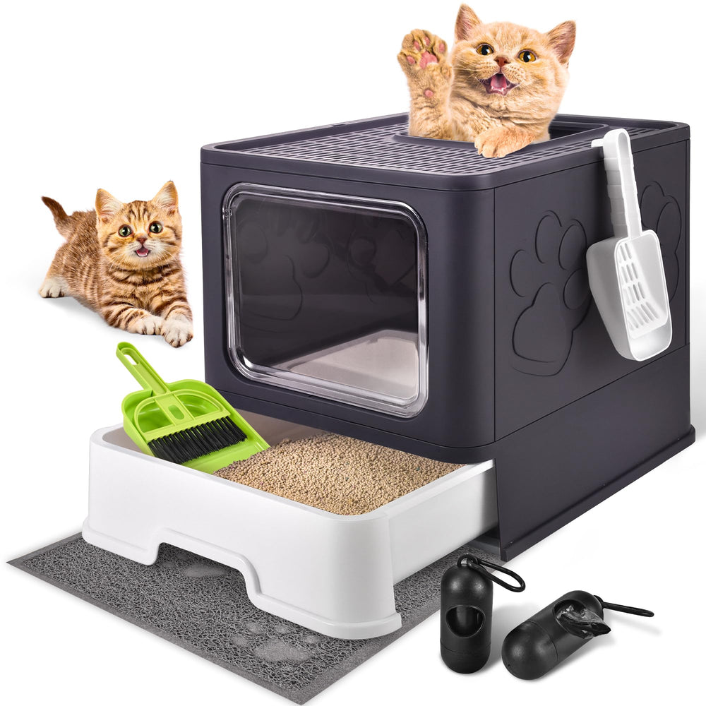 Homagico cat litter box purple, front view highlighting large interior space for comfortable use