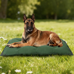 HOMBYS durable canvas outdoor dog bed green front view highlights spacious comfort for large dogs.
