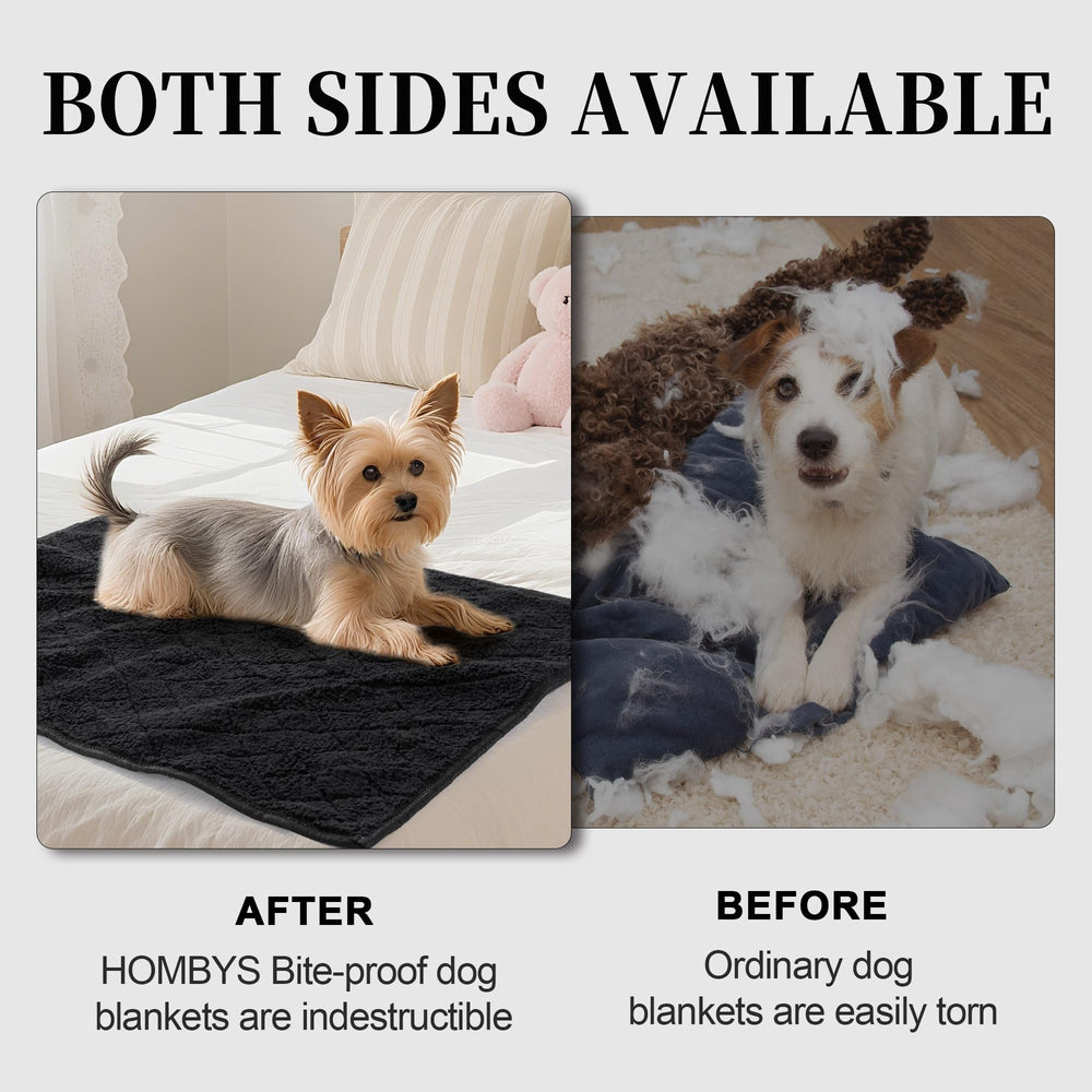 HOMBYS indestructible chew-proof dog blanket on sofa protects upholstery from scratches, fur, and moisture